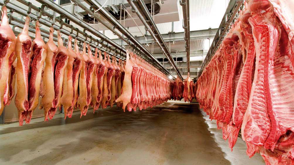 las-exportaciones-de-carne-porcina-cayeron-80%-en-el-tercer-trimestre