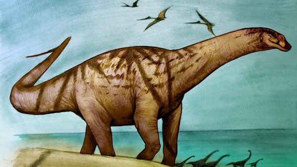 descubrieron-una-nueva-especie-de-dinosaurio-herbivoro-que-vivio-en-rio-negro-poco-antes-de-la-caida-del-meteorito